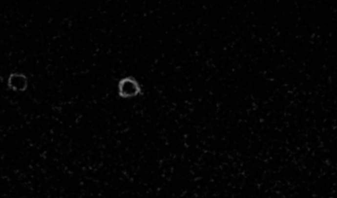 Turning on Visualize Spots mode makes this faint spot much more obvious (and reveals an even fainter spot.)